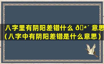 八字里有阴阳差错什么 🪴 意思（八字中有阴阳差错是什么意思）